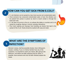E. COLI FACTS