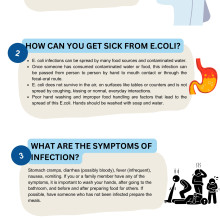 E. COLI FACTS