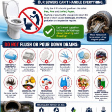 THINK BEFORE YOU FLUSH