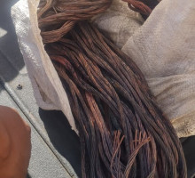 Mayor Cllr. Xolani Ngwezi hails police for swift action in arresting three suspects.